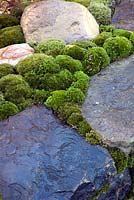 Mounds of moss between natural stone in Kazahana garden, RHS Chelsea Flower Show 2010, designed by Ishihara Kazuyuki, Silver medal winner