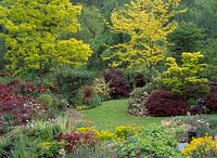 Country garden with foliage borders, robinia pseudoacacia var.frisia, gleditsia var.sunburst, acer dissectum atropurureum, acer palmatum var.aureum