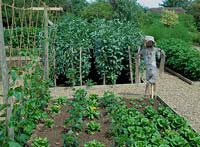 Scarecrow in raised vegetable beds