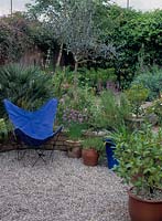 Meditteranean planted garden with olea europaea and allium schoenoprasum in terracota pots with a canvas chair on gravel