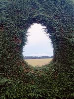 Hole cut into x cupressocyparis leylandii hedge to create vista, view of countryside South farm, Herts