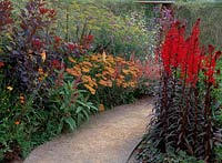 Gravel path running through colourful mixed border, planted with ferula communis, lobelia x speciosa var. queen victoria, achillea, cotinus coggygria and verbena bonariensis. The round garden, Westonbirt