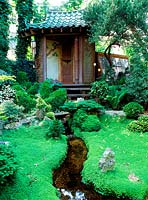 Japanese garden - buxus shapes, pittosporum, dwarf pine, cryptomeria, azaleas. Navarino Road, Hackney, Owner: John Tordoff, June 