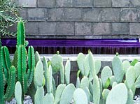 Think.... garden, designed by Johnston Bourne Partnership, detail of opuntia cactus, welsh slate tiled wall and purple perspex water shute: Chelsea Flower Show, 2004