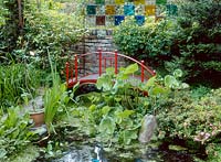 Red wooden bridge over pond - flag iris, corydalis, himalayan buttercup, Navarino Road, Hackney. Owner John Tordoff