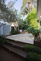 View to courtyard garden showing timber deck, Himalayan pavers, buxus beside steps. Breeze block panel behind water feature flanked by olive trees Olea europa. Bambusa textilis Gracilis 'Slender Weaver' bamboo and Agave attenuata seen.