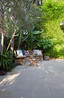 Courtyard garden with bench seat showing Himalayan pavers, olive trees Olea europa, Bambusa textilis Gracilis 'Slender Weaver' bamboo and Strelizioa Bird of Paradise