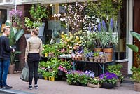 Gerda's Florist, in De 9 Straatjes, De Negen Straatjes - The 9 Streets area. Plants include grape vines and bananas as well as tulips and cut branches of cherry blossom.