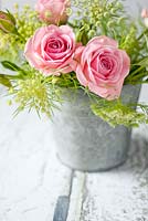 Roses and Ammi majus in a zinc bucket
