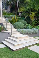 Raised garden bed and stairs leading to rear of modern home featuring palms, Agave attenuata, Westringia fruticosa Coastal Rosemary and Gazania tomentosa Silver Gazania
