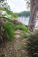 Path with sandstone pavers leading down to view of water. Planting includes Pennisetum setaceum rubrum Purple Fountain Grass and Lomandra longifolia 'Tanika'