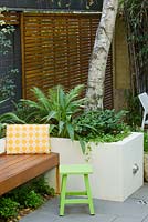 Timber bench and slatted screen with concrete planter containing Betual pendula, Silver Birch tree. Planter contains Renga lily New Zealand rock lily and Blechnum gibbum 'Silver Lady' fern