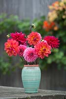 Dahlias mixed. Cut flowers in pottery vase.