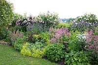 Summer border with Nepeta 'Kubanica', Centranthus ruber 'Rosenrot', Rosa 'James Galway', Ispahan 'Rosa Damacena', 'Ayrshire Queen', 'Ayrshire Spendens'