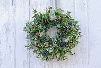 Christmas wreath with buxus, viburnum tinus berries, juniper and eucalpytus