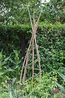 A Teepee made with Hazel and Willow sticks