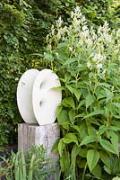 Contemporary statue 'Untitled' by artist Will Spankie and white Astilbe 