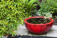 Bright decorative ceramic bowl used as a mini pond