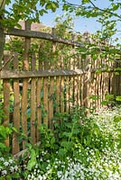 Cleft oak fence designed by Ian Robinson.