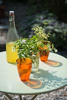 Orange glasses, bottle of cordial and flowers in jam jar on turquoise garden table