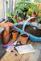 Runner Bean, Phaseolus coccineus, 'Streamline' potting bench with everything ready to sow seeds.
