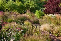 Walled garden, Cambo, Fife, Scotland, UK. Prairie-style planting in late summer featuring ornamental grasses, echinacea, phlomis, achillea, eupatorium etc
