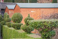 Variety of topiary shapes on privet hedge