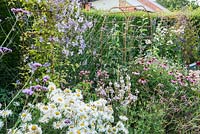Jardin Sheila, an area of the garden inspired by the French garden of a friend, a mix of trained fruit, climbing clematis and pastel coloured perennials and annuals including echinaceas, leucanthemums, tradescantias and diascias. The Bay Garden, Camolin, Co Wexford, Ireland