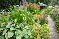 A boardwalk leads across the bog garden to a wooden summerhouse, between hostas, lythrum, primulas ligularias, filipendulas and hydrangeas. The Bay Garden, Camolin, Co Wexford, Ireland
