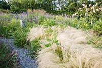 The Barn Garden, a mix of grasses and herbaceous perennials including pale Stipa tenuissima, Rhus typhina 'Dissecta', sanguisorba and purple Verbena bonariensis. The Bay Garden, Camolin, Co Wexford, Ireland