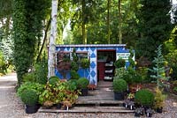 The sales area, design based on a Jamaican beach hut, at Urban Jungle. The building is flanked by box balls and spirals, bay standards, Heuchera and shrubby begonia. Mature trees, including a silver birch next to the hut, form a backdrop and create shelter for the tender plants.