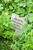 A grave marker for Bunty, the childrens' cairn terrier, in the low garden.