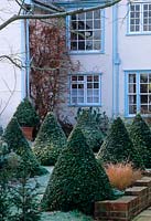 Row of frost covered box pyramids in front of a house. 