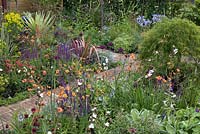 Dense perennial planting punctuated by brick paths in 'Greener Pastures' at  BBC Gardener's World Live
