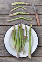Harvested home grown asparagus on enamel plate.