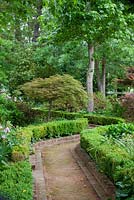 Zig zag path through hedged garden brick edged path. The path is made of decomposed granite and is bordered by clipped Buxus hedges. A small Acer - Japanese Maple is a feature 