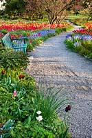 Meadow of tulips and bluebells. Gravel path. Bench. Weinheim, Hermannshof, Germany