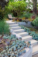 View of concrete steps planted either side with succulents with sun lounger. Debora Carl's garden, Encinitas, California, USA. August.