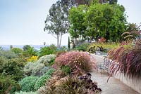 View of outside seating area with view with ornamental grasses and Aeoniums. Debora Carl's garden, Encinitas, California, USA. August.
