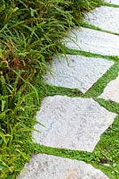 Portrait of paving stones with decorative moss planted in cracks. August