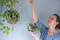 A woman hanging up a glass Terrarium planted with Muehlenbeckia complexa
