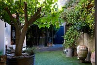 View from full width garden windows on to courtyard garden with a fig tree in a recycled galvanised container, astroturf, black bamboo, climbing trachelospermum on grey wall and two childrens' swings. 