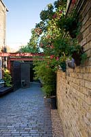 Alleyway beside house with wall lighting, pelargoniums in pots on wall, steel girder pergola and wooden fence with open gate at the end. Brick flooring. 