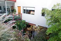 View down into courtyard garden from roof-height. Balcony with glass door and barrier, trachelospermum, miscanthus, bamboo and a fig in a container at ground level. 