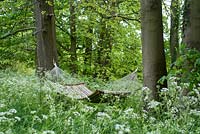 Hammock in shady woodland garden