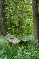 Hammock in shady woodland garden