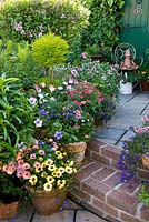 Steps with colourful containers with annuals including osteospermum. Standardised conifer lollipop. Flowerpot man sitting on seat in front of painted doorway. 
