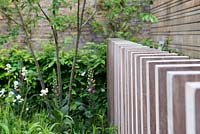 A balustrade made from iroko timbers in front of modern chestnut fence surrounded by Libertia chilensis Formosa Group - New Zealand satin flowers, Amelanchier tree and  Carpinus