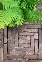 Deatil of brick patio floor with fern Polypodium in the container. 