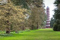Pagoda in spring at Kew gardens